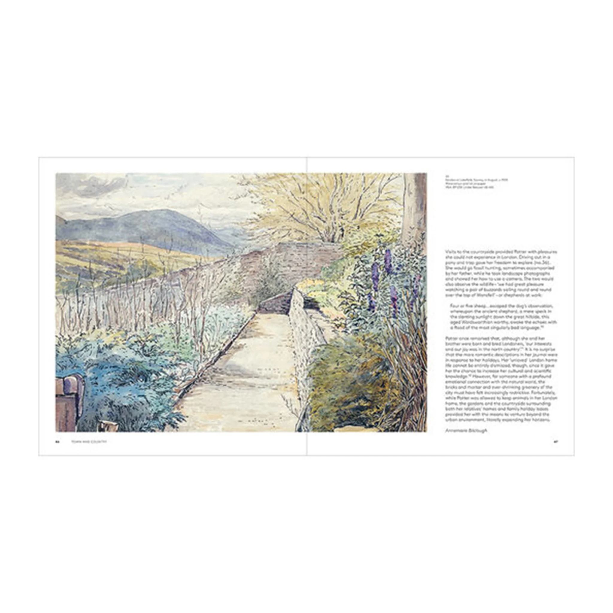 Beatrix Potter: Drawn to Nature - Image 3