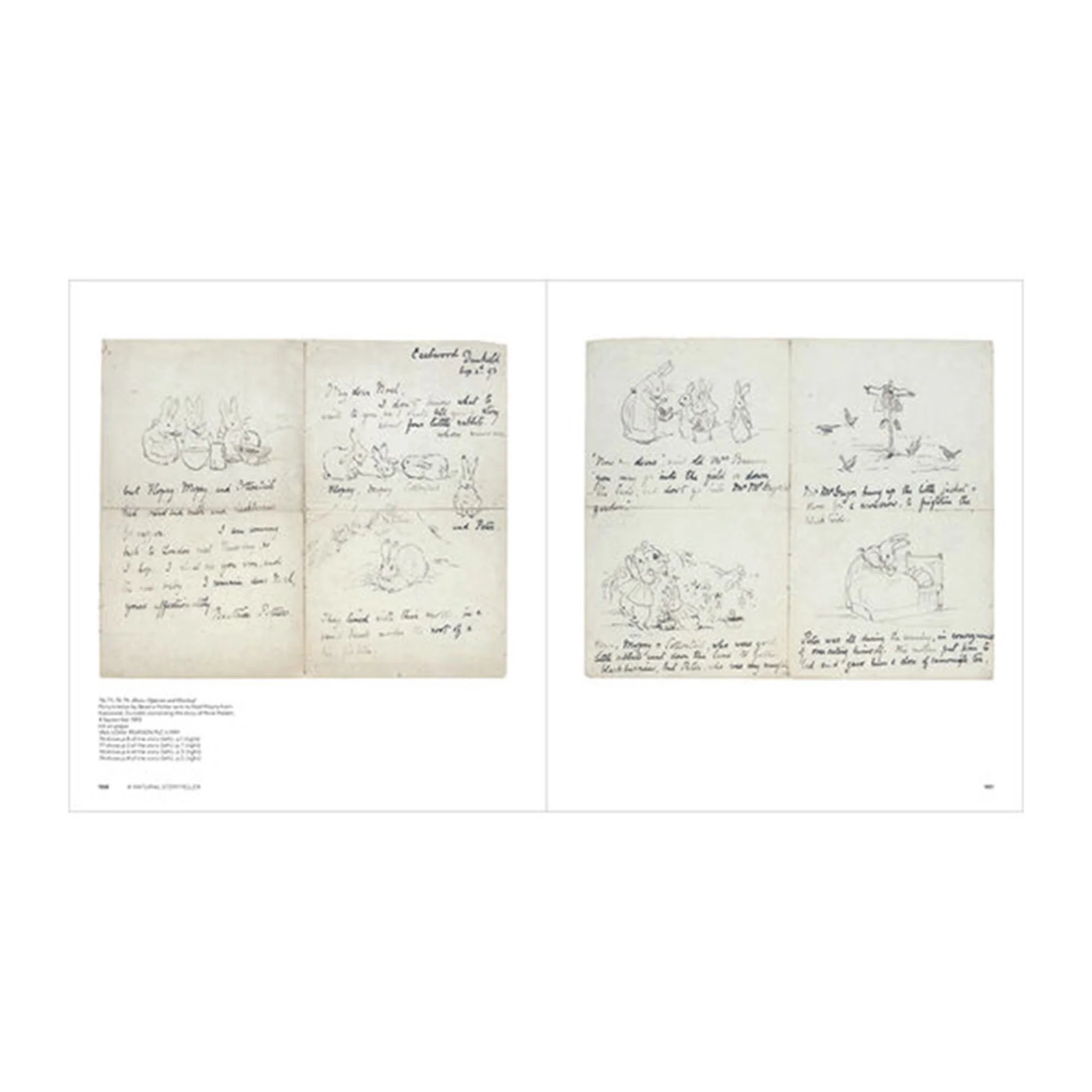 Beatrix Potter: Drawn to Nature - Image 5