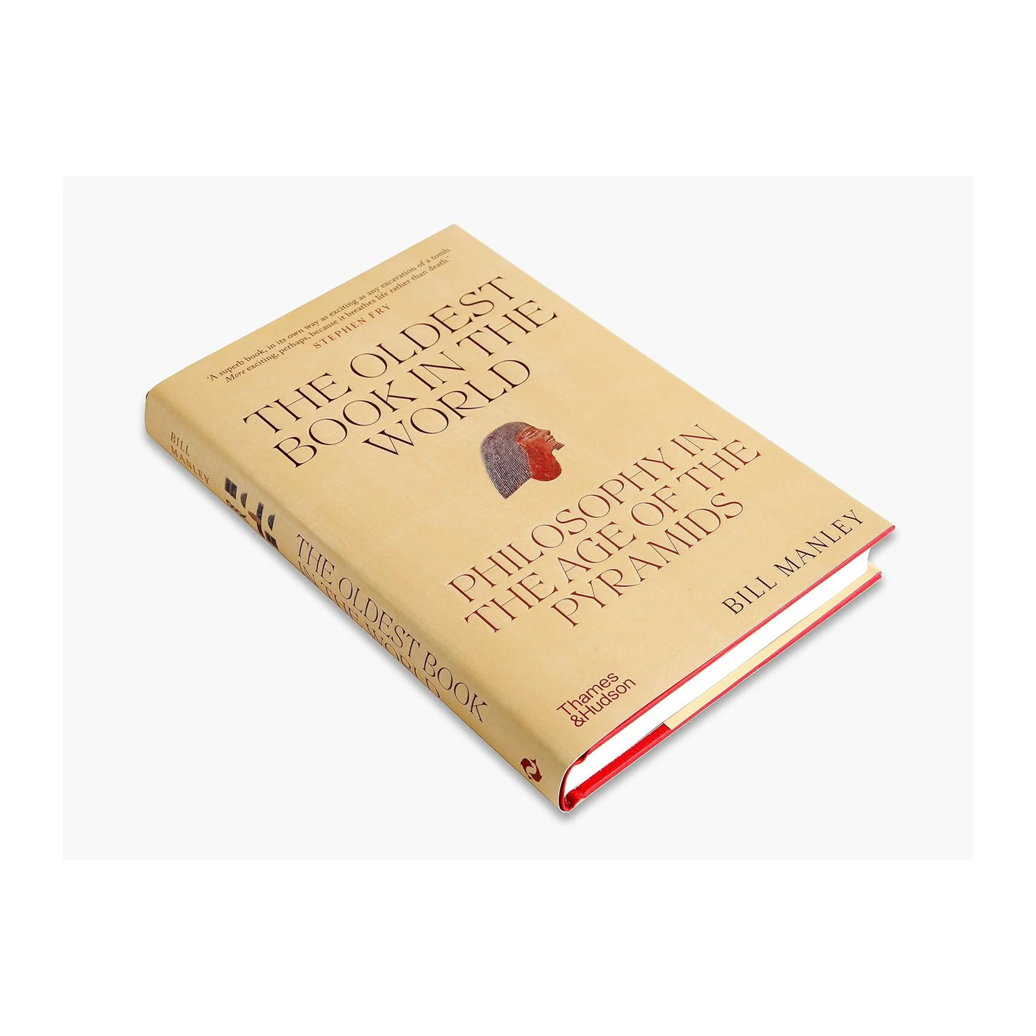 The Oldest Book in the World: Philosophy in the Age of the Pyramids - Image 4